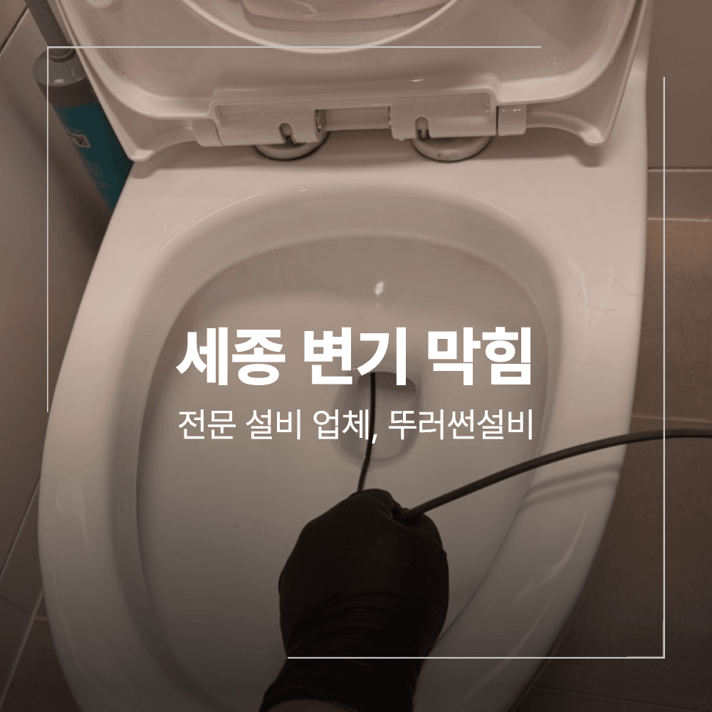 세종 변기 막힘 대평동 물티슈 치실 원인 해결