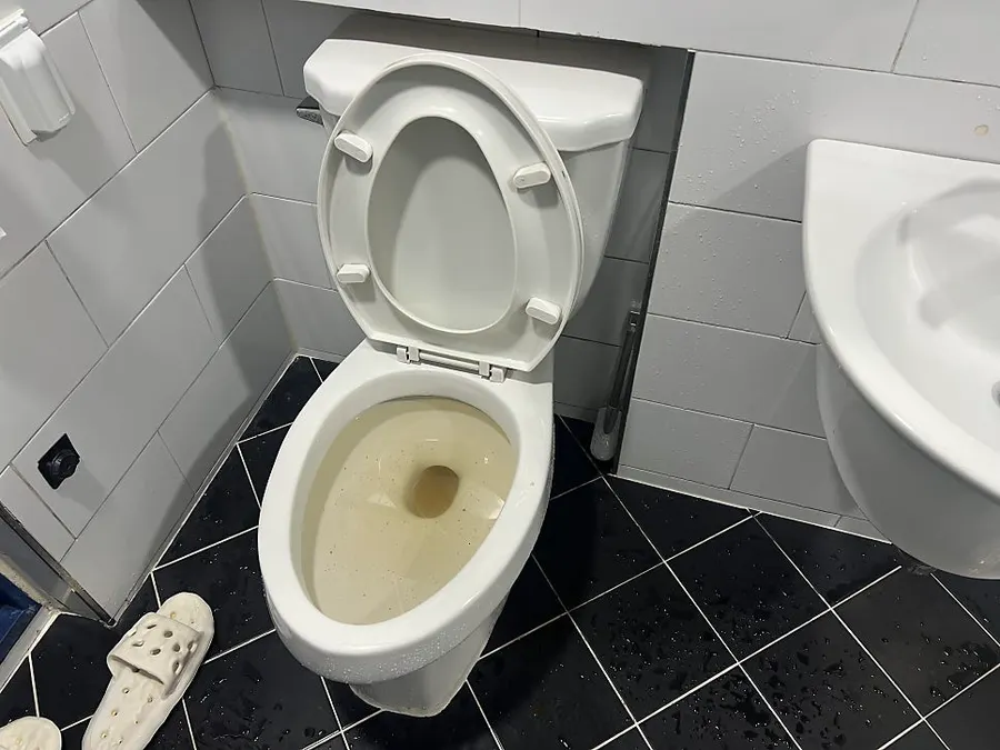 증상 확인 장면