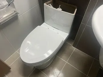 세종 · 누수