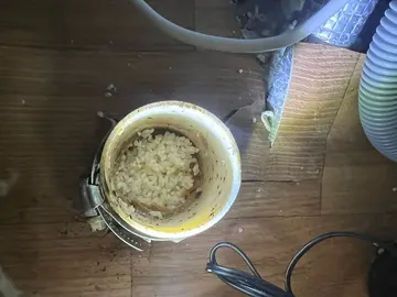 세종 · 싱크대막힘